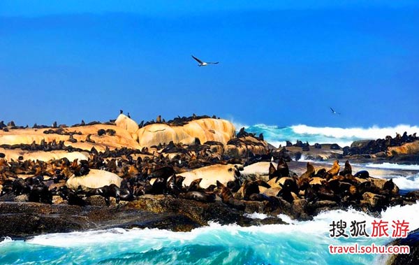 ����������ѹѹ��һƬ���ǣ�Զ������Ϊ��ˮ�ϸ�����