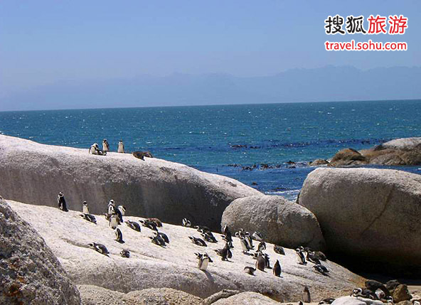 ��쵺�ϵ�����ͷ���󣬵��ǳ��ɰ�