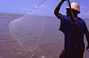 Fisherman at Saadani